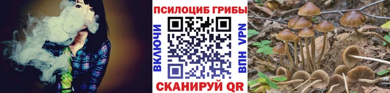 Купить  Новый Оскол  Галлюциногенные грибы мицелий 